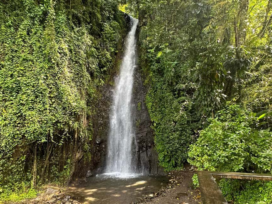 Kingstown: Cascading Dark View Falls and Beach Tour - A Closer Look at the Dark View Falls and Beach Tour