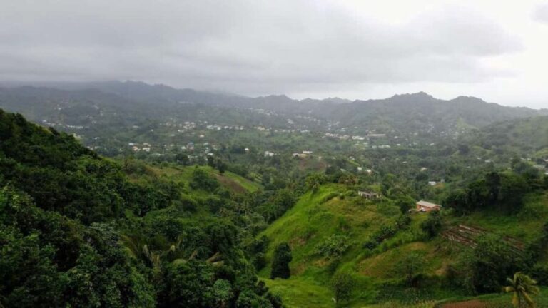 Kingstown: Dark View Falls Tour with Pickup - A Closer Look at the Dark View Falls Tour