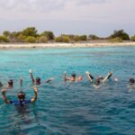 Klein Bonaire Marine Park Snorkeling Excursion - What to Expect: The Itinerary
