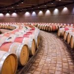 Knowing the land of Malbec, tasting wine and lunch in Luján de Cuyo - Practical Considerations