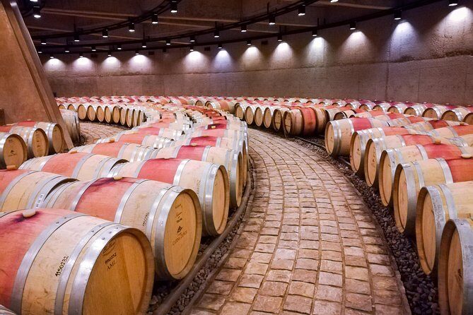 Knowing the land of Malbec, tasting wine and lunch in Luján de Cuyo - Practical Considerations