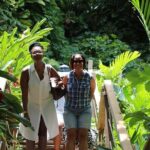 Konoko Falls and Bamboo Blu Beach from Ocho Rios Cruise Port - FAQ