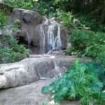Konoko Falls and Garden Tour from Falmouth - Who Will Love This Tour?