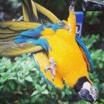 Konoko Falls & Park Private Transportation - Practical Details