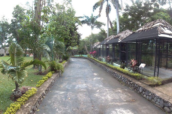 konoko waterfall and zoo - Why Choose This Tour?