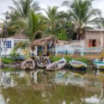 La Boquilla: 3-Hour Canoe Tour through the Mangroves - Exploring Cartagena’s Mangrove Ecosystem: What to Expect