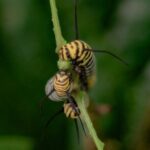 La Fortuna Arenal Butterfly Garden - Who Is This Tour For?