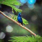 La Fortuna Guided Day Nature Experience 2hrs - Final Thoughts