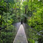 La Fortuna's 3 Essentials Private Tour - Who Will Love This Tour?