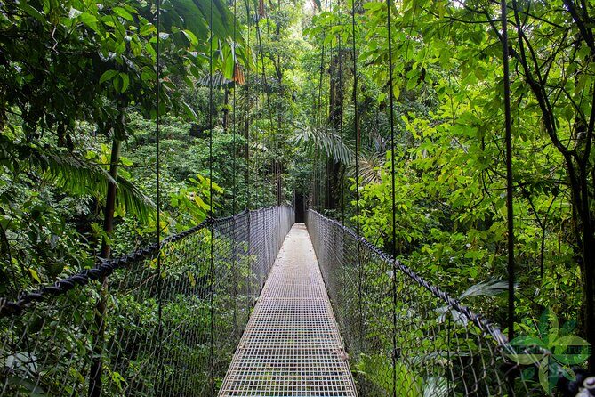 La Fortuna's 3 Essentials Private Tour - Who Will Love This Tour?