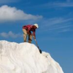 La Guajira: Manaure Salt Mines Tour and Wayuu Ranch - An In-Depth Look at the Tour Experience