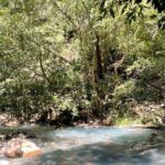 La Leona Waterfall Hiking Tour + Lunch - Crossing Suspended Bridges and Exploring the Rainforest