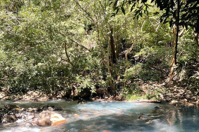 La Leona Waterfall Hiking Tour + Lunch - Crossing Suspended Bridges and Exploring the Rainforest