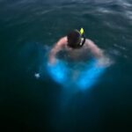 La Parguera Bio Bay Boat Ride and Swimming w/ San Juan Transport - Exploring Puerto Ricos Natural Wonder: La Parguera Bio Bay