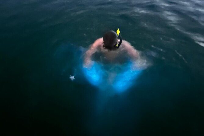 La Parguera Bio Bay Boat Ride and Swimming w/ San Juan Transport - Exploring Puerto Ricos Natural Wonder: La Parguera Bio Bay