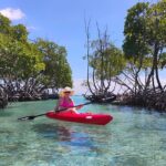 La Parguera Boat Charter with Captain: Kayak & Snorkel - Practical Details and What They Mean for You