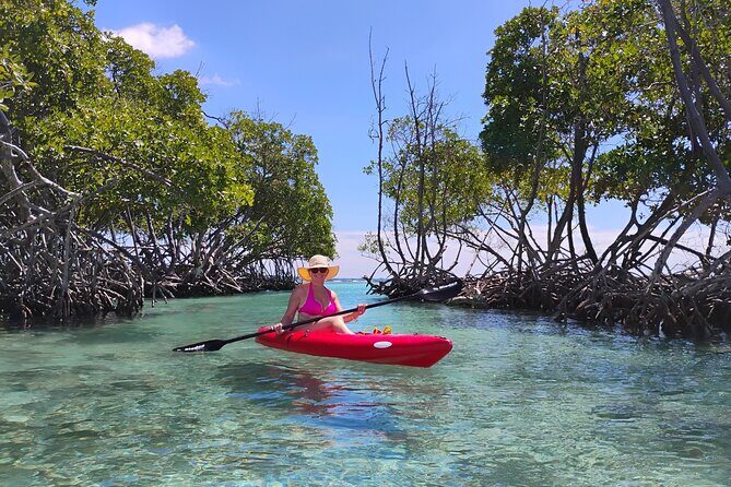 La Parguera Boat Charter with Captain: Kayak & Snorkel - Practical Details and What They Mean for You