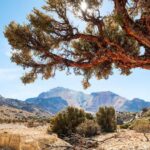 La Paz: 1-Day Uyuni Salt Flats Tour by Flight with hotel - What the Tour Includes and What to Consider