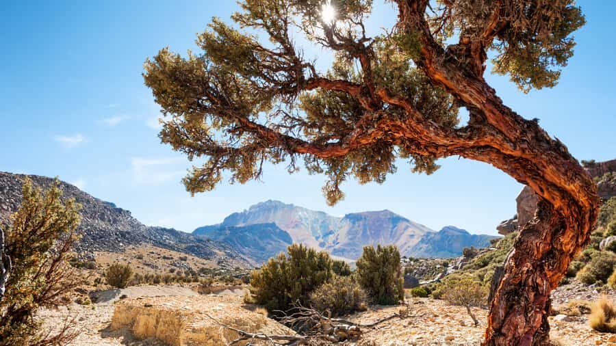 La Paz: 1-Day Uyuni Salt Flats Tour by Flight with hotel - What the Tour Includes and What to Consider