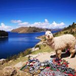 La Paz: Full Day Trip to Copacabana and Isla del Sol - Why This Tour Works