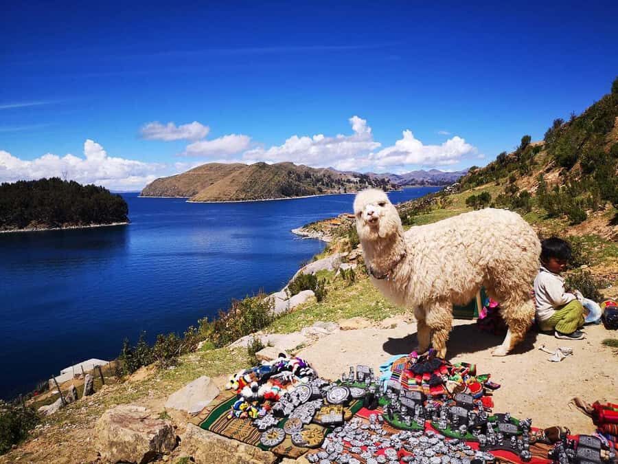 La Paz: Full Day Trip to Copacabana and Isla del Sol - Why This Tour Works