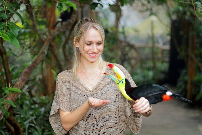 La Paz Waterfall Gardens and Wildlife Refuge Tour from San Jose - A Deep Dive into Your La Paz Waterfall Gardens Experience