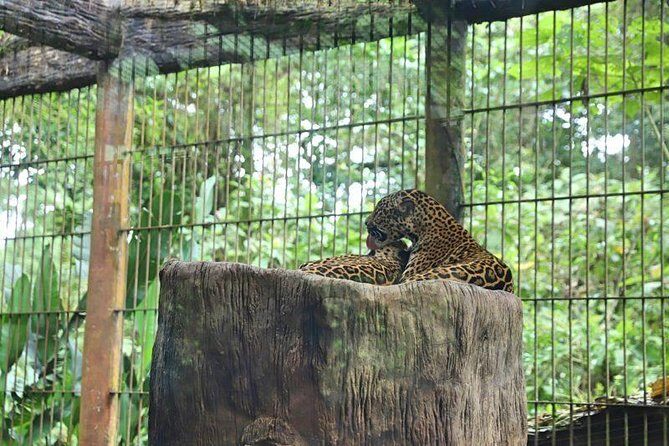 La Paz Waterfall Gardens From San José - FAQ