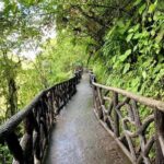 La Paz Waterfall Gardens Nature Park Full-Day Tour - Transportation and Logistics