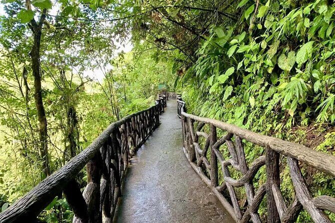 La Paz Waterfall Gardens Nature Park Full-Day Tour - Transportation and Logistics