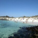 La Serena: Full day to Isla Damas & Humbolt Pinguino National Reserve - The Practicalities: What You Need to Know