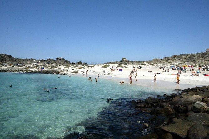 La Serena: Full day to Isla Damas & Humbolt Pinguino National Reserve - The Practicalities: What You Need to Know