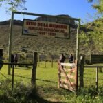 Lago Roca Trek: A Historical & Natural Patagonian Tour - What Sets This Tour Apart?