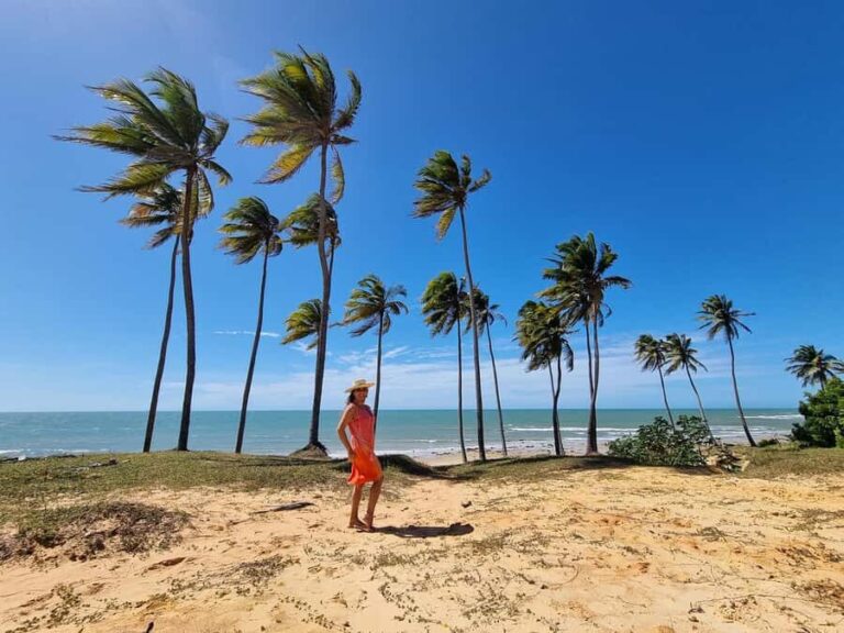 Lagoinha Beach Highlights: 1-Day Guided Exploration Tour - The Full Experience: An In-Depth Look at the Tour