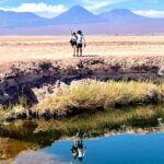 Laguna Cejar: The Floating Oasis of the Atacama - The Experience and Practicalities