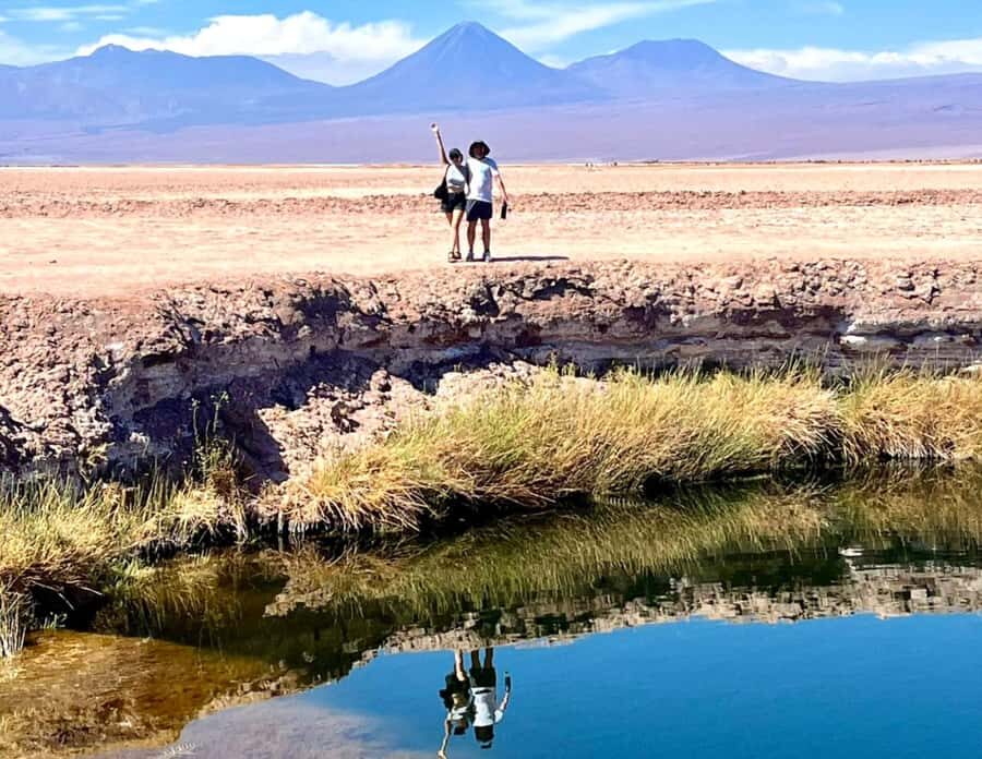 Laguna Cejar: The Floating Oasis of the Atacama - The Experience and Practicalities