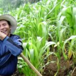 Lake Atitlan: Upper Mayan Trail from Antigua or Panajachel - Frequently Asked Questions