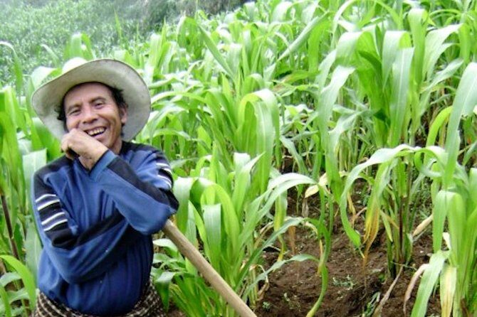 Lake Atitlan: Upper Mayan Trail from Antigua or Panajachel - Frequently Asked Questions