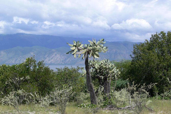 Lake Enriquillo - In-Depth Tour Review