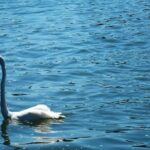 Lake Nicaragua Kayak Tour - Who Should Consider This Tour?