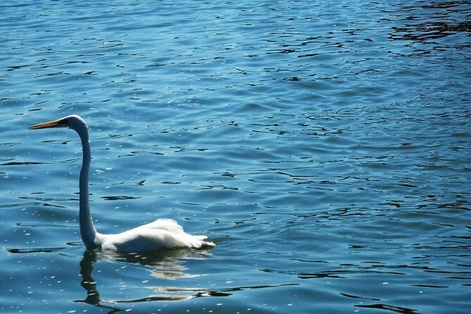 Lake Nicaragua Kayak Tour - Who Should Consider This Tour?