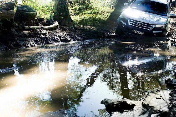 Lakes District 4x4 Full-Day Tour with Lunch from Ushuaia - Who Will Love This Tour?