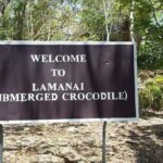 Lamanai Temples, River Cruise, Howler Monkeys, Birdwatching. - An In-Depth Look at What You Can Expect