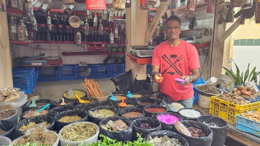 "Land & People" Individual Full Day Tour - from/to Bávaro/Punta Cana - A Deep Dive into the Experience