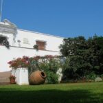 Larco Museum, Pisco Old Tavern and Magic Water Circuit Evening Tour - The Magic Water Circuit: An Evening Spectacle