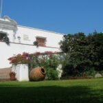 Larco Museum Tour & Gastronomic Experience with rountrip transfer - The Sum Up: Who Will Love This Experience?