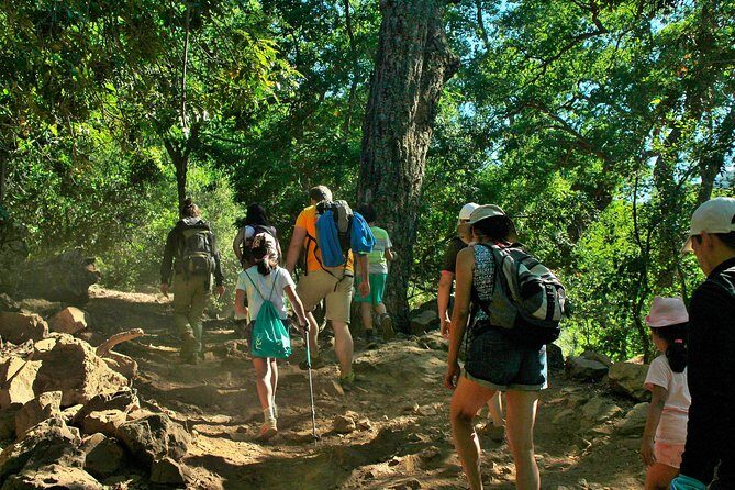 Las Animas Waterfall Tour - Why This Experience Offers Great Value