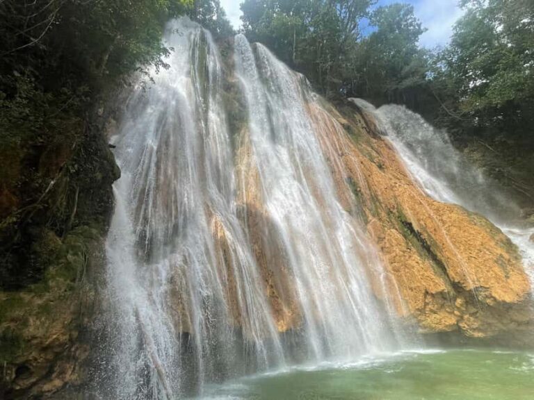Las Terrenas: El Limón Waterfall Trekking Tour in Samana - A Detailed Look at the Tour Experience