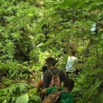 Lawyer Stephens Cave & Waterfalls Hike - The Experience in Detail