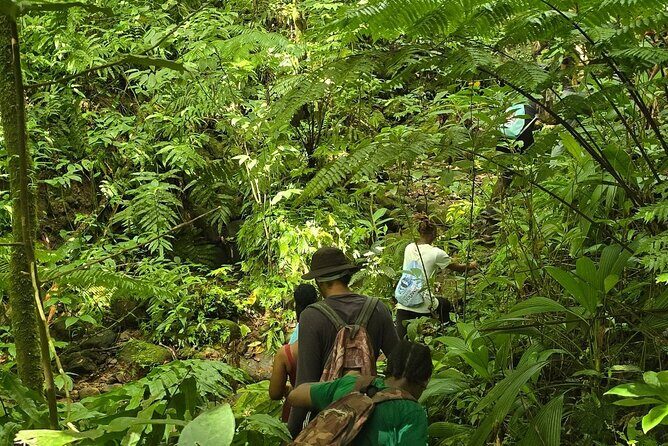 Lawyer Stephens Cave & Waterfalls Hike
