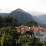Layover City Tour or Conexion in Bogota - What to Expect from This Bogotá Layover Tour